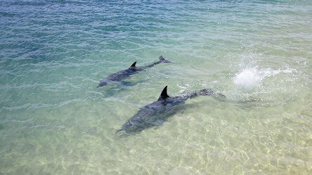 11 Day Hamersley Splendour (Travelmarvel)