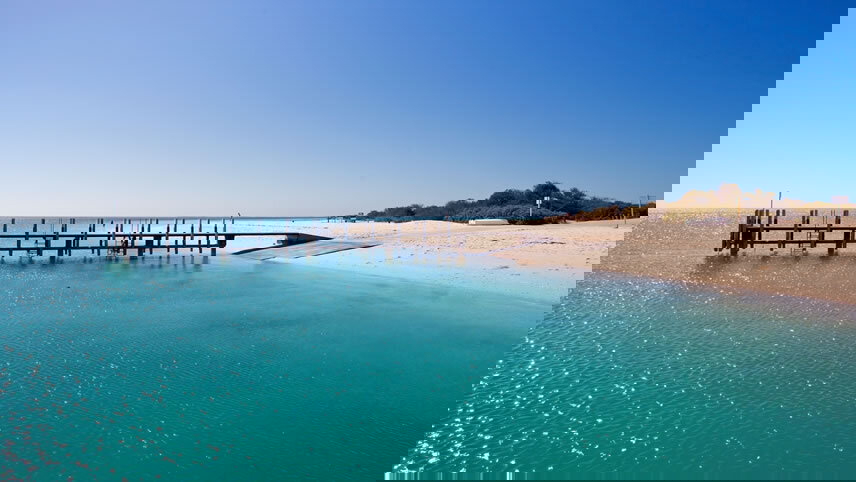 Monkey Mia Dolphins & West Coast