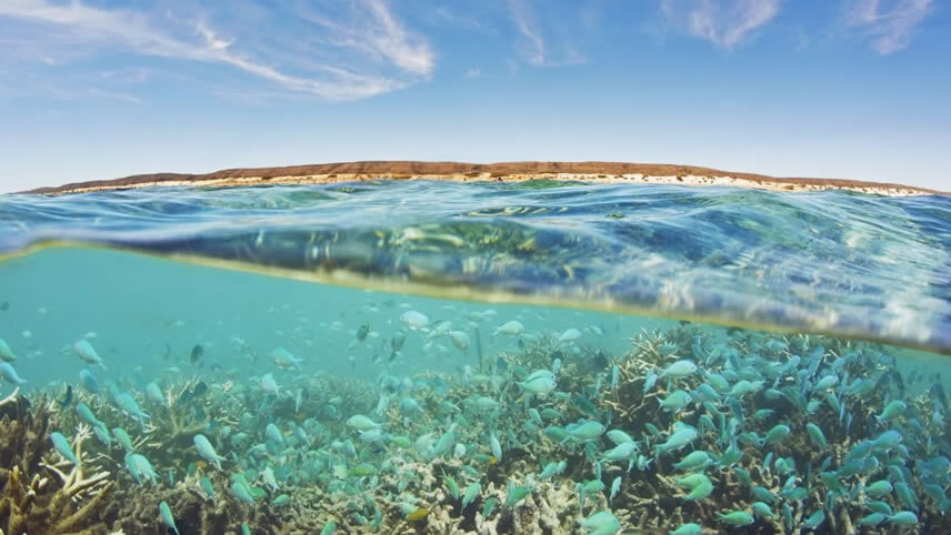 Ningaloo Coast