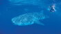 Ningaloo Marine Park and Coral Bay