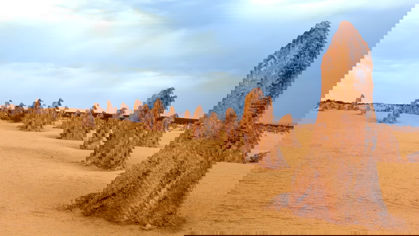 Treasures of the West Coast