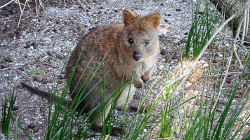 7 Day Perth Classic City Stay (Journey Beyond)