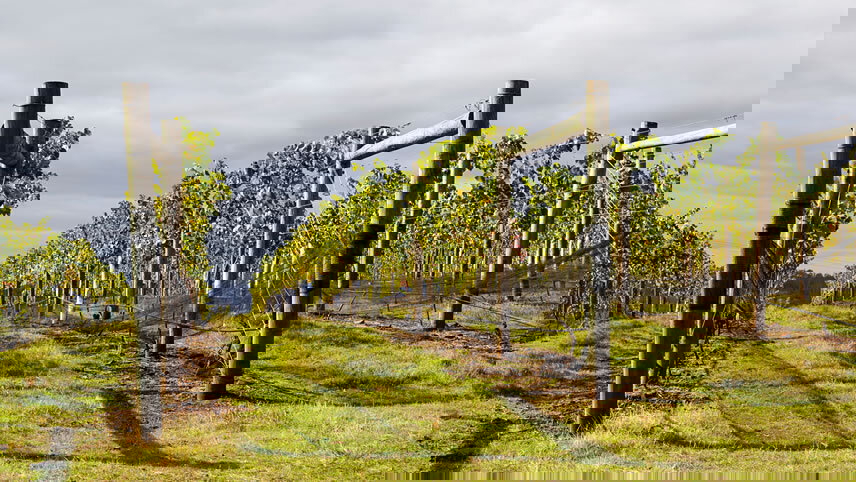 Tasmania & Flinders Island Explorer