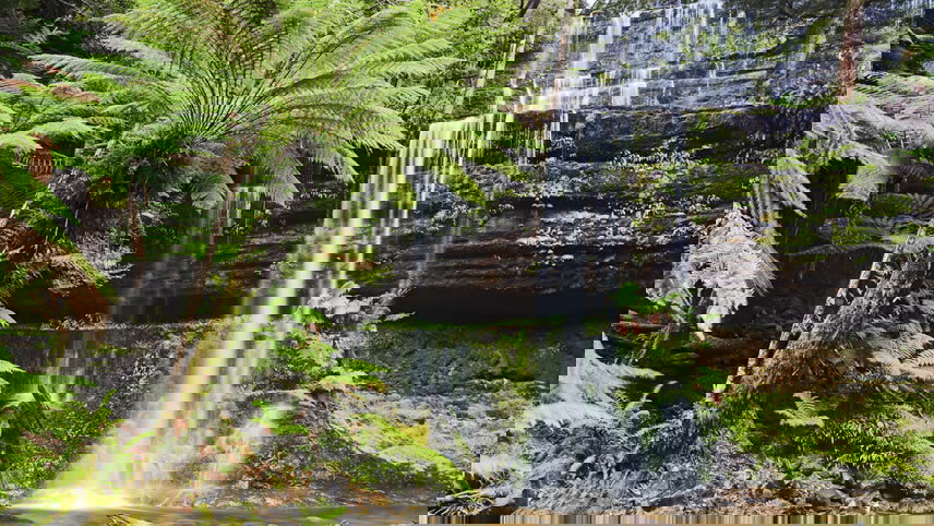 Tasman Coastal Cruise