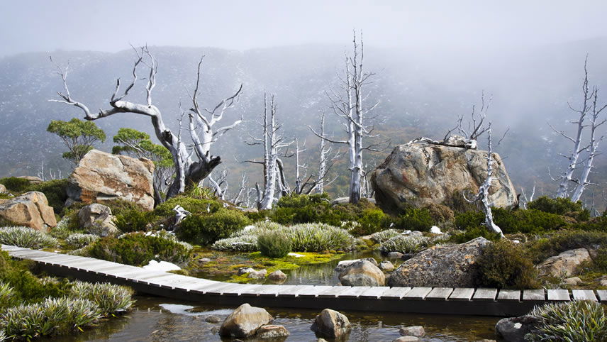 The Must-See Wilderness of Tasmania’s West Coast