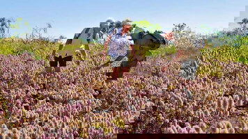 Walking & Hiking Cruises