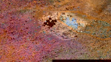 10 Day Western Australia’s Wildflowers, Private Gardens & Natural Phenomena (Reverse) (APT)