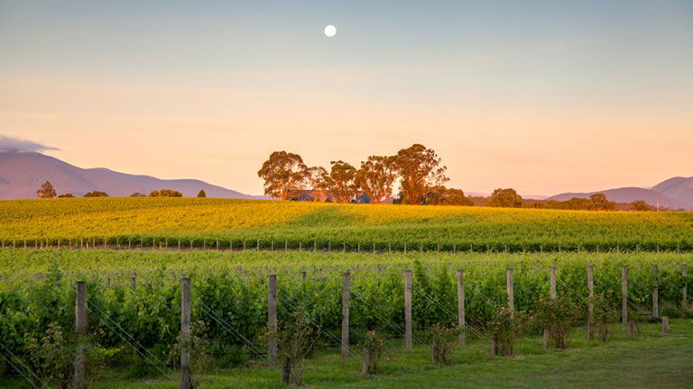 Yarra Valley, Victoria Yarra Valley, Victoria