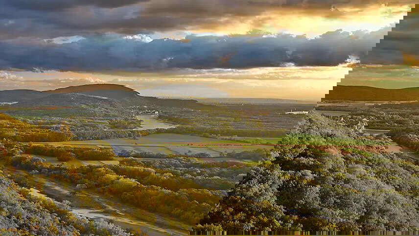 Danube - Budapest & Vienna