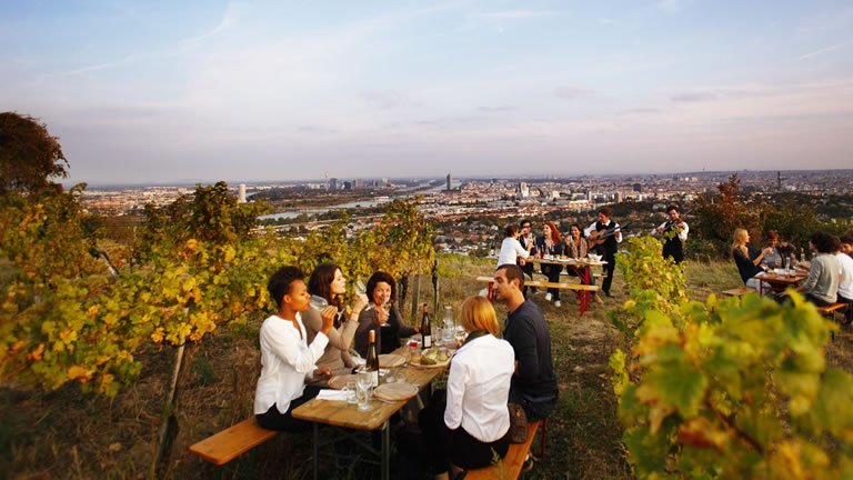 A Taste of the Danube with Vienna