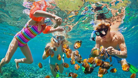 Discover an Underwater World