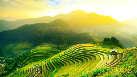 15 Day Islands, Cities and Volcanoes of Indonesia (Ponant)