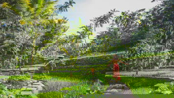 72 Day Grand World Voyage (Holland America)