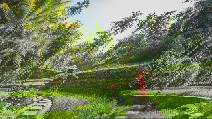 Singapore & Indonesia Cruise: Senarang, Surabaya & Bali