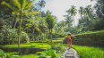 11 Day Indonesian Wonders & Sacred Temples (Scenic)