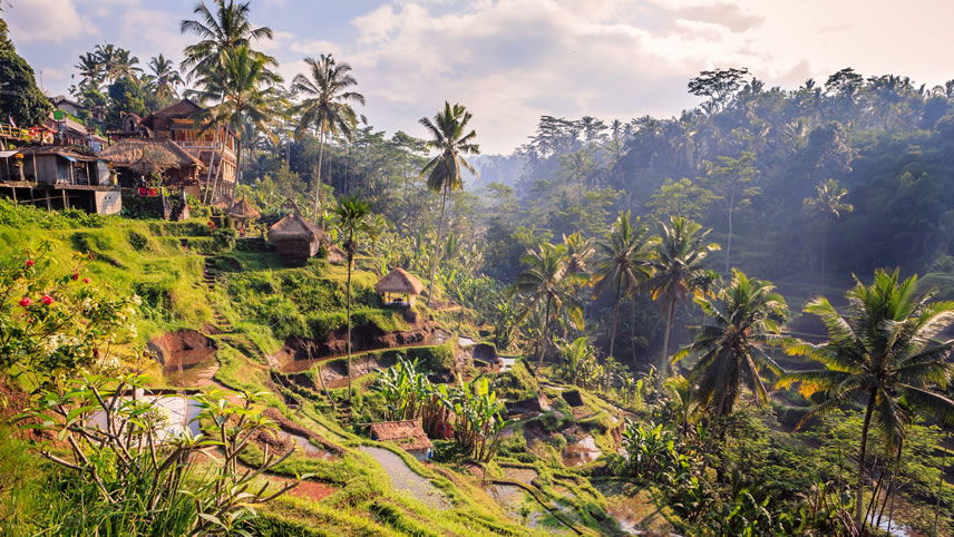 Ubud, Bali Ubud, Bali