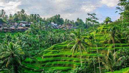 Bali’s White Water and Rice Paddies