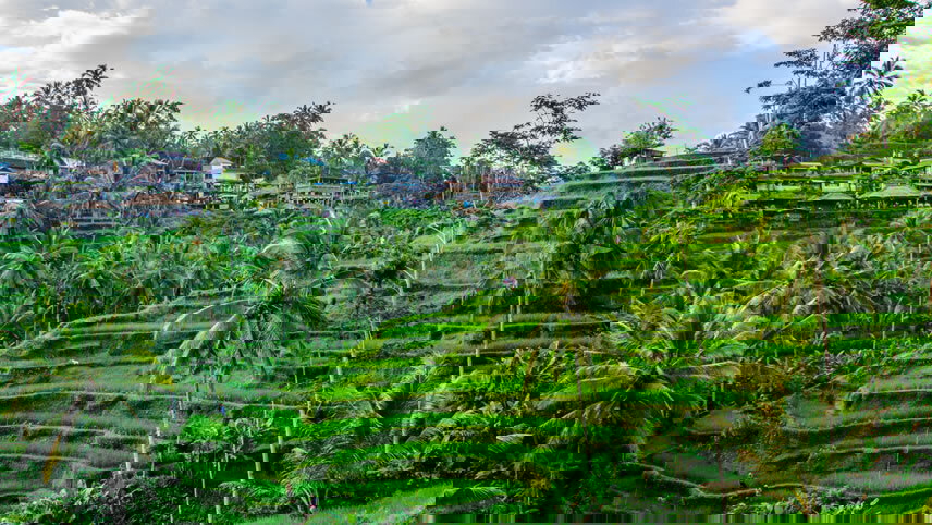 Indonesia: Java & Bali