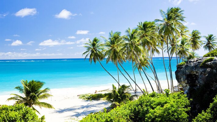 cruises from barbados december 2024