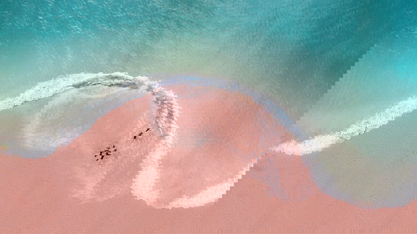 New York to Bermuda (& Back)