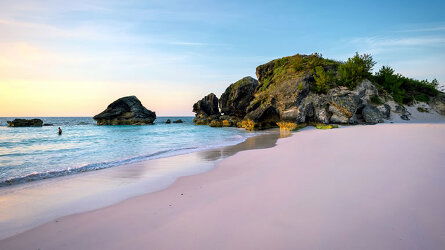 Sea, Sun, and (Pink) Sand