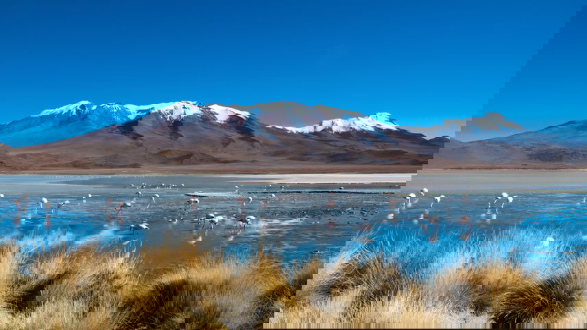 Journeys: Highlights of Bolivia