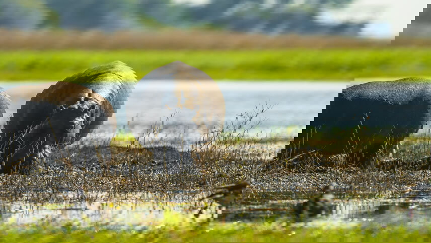 Highlights of Southern Africa