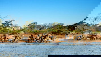 15 Day Splendors of South Africa & Victoria Falls with Chobe River Cruise (Globus)