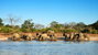 Chobe National Park