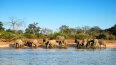 12 Day Wildlife Odyssey: South Africa, Botswana & Zimbabwe (Tauck)