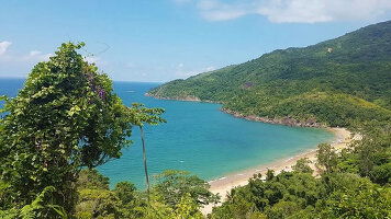 8 Day South America (MSC Cruises)