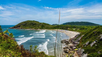 7 Day South America (MSC Cruises)