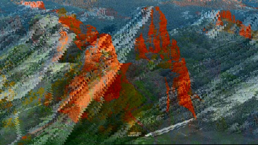 Iconic Rivers of Europe - the Rhine, Main & Danube with Bucharest