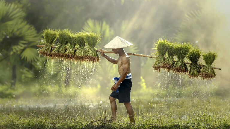 Thailand, Cambodia & Vietnam