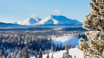 14 Day Christmas in the Rockies (Scenic)