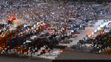 Calgary Stampede Tours