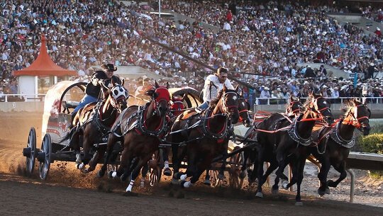 Calgary Stampede Tours| Canada - 2024 Season