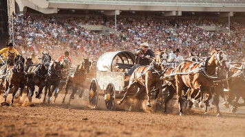 11 Day Glacier National Park & the Canadian Rockies with the Calgary Stampede (Globus)