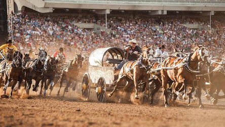 21 Day Calgary Stampede and Alaska Cruise (APT)