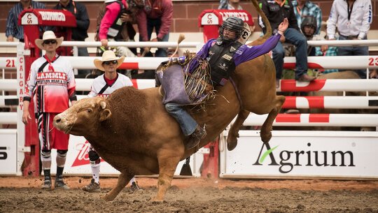 calgary stampede tour