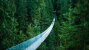 Capilano Suspension Bridge Park