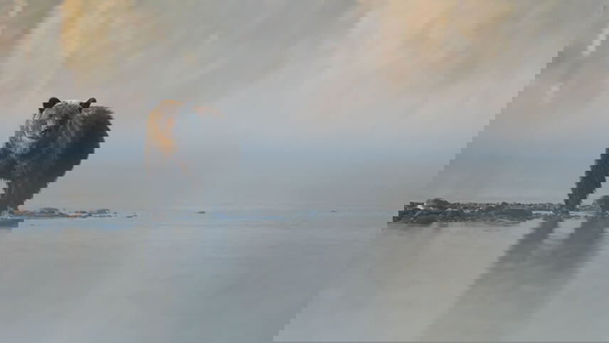 Rockies Odyssey and Alaska Cruise