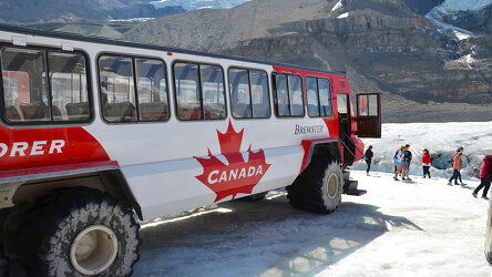 Sightseeing & VIP Access