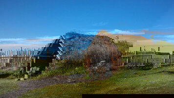 16 Day Route of the Vikings: Greenland to Newfoundland (Scenic)