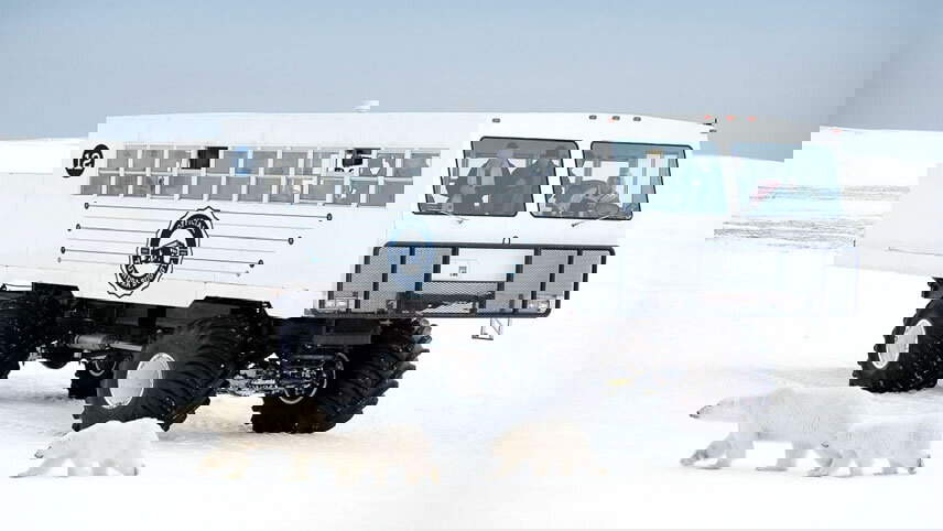 Manitoba: Polar Bear Adventure