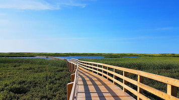 15 Day Canada & New England: Unesco Sites & Nights Collector (Holland America)