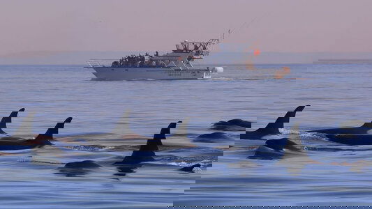 Explore's Canada Tours