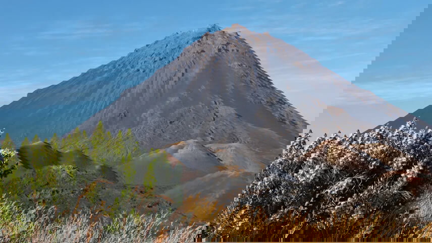 Birding & Wildlife Adventure