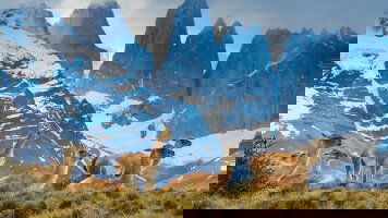 9 Day Patagonian Adventure (Scenic)