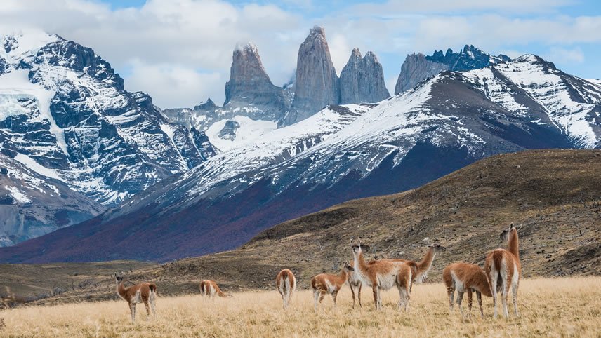 Patagonia, Antarctica & Ocean Isles
